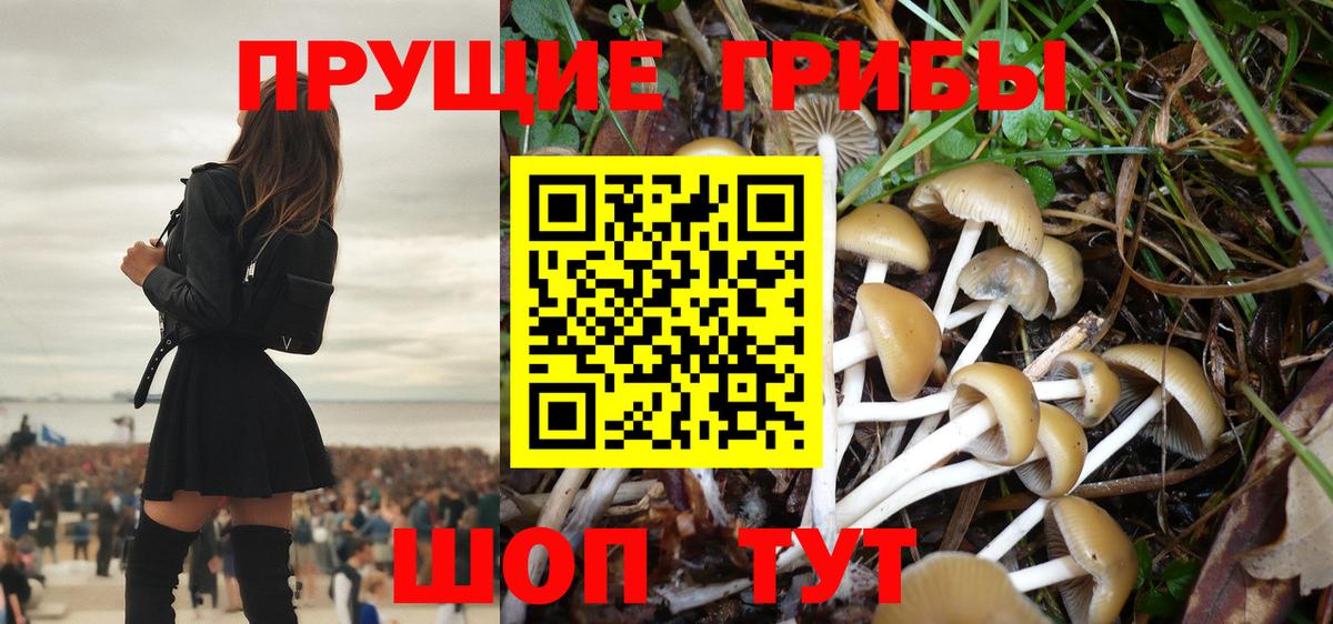 Меф Ногинск